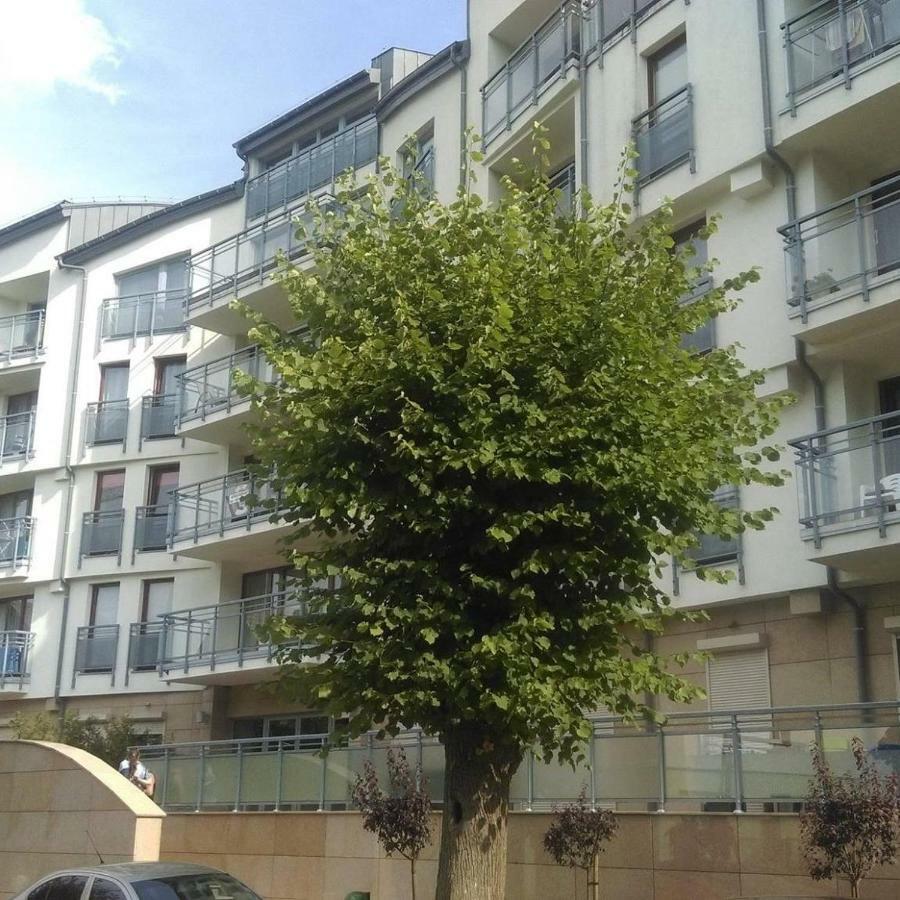 Apartament Flauta, Villa Marea Miedzyzdroje Ngoại thất bức ảnh